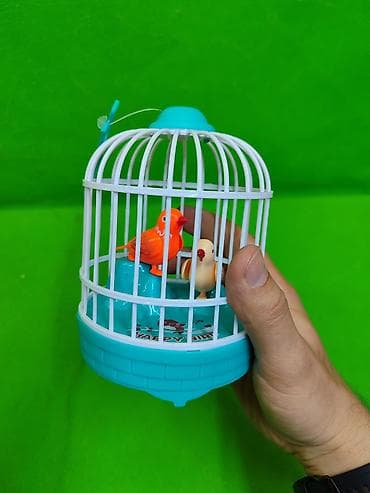 оранжевая: Птички в клетке игрушка музыкальная в ассортименте🐦 Комплектация — 4