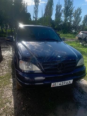 Унаа сатуу: Mercedes-Benz ML-Class: 1999 г., 3.2 л, Автомат, Бензин, Жол тандабас — 1