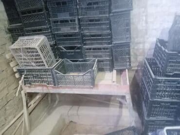 какой бизнес можно открыть в бишкеке 2024: Продам срочно действующий бизнес по производству декоративного — 2