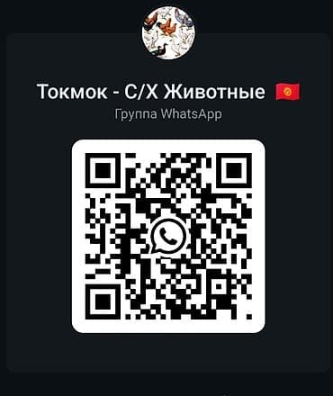 фермер: Продаю | Петух, Цыплята, Инкубационные яйца | Бройлерная, РОСС 308, Арбор айкрес | Для разведения, Для боев, На забой — 1