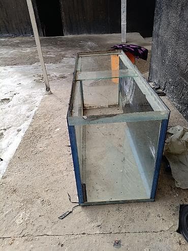 ээр токум ат жабдык бишкек: Стеклянный аквариум прямоугольной формы. Ещё есть бартер на рыб и — 4