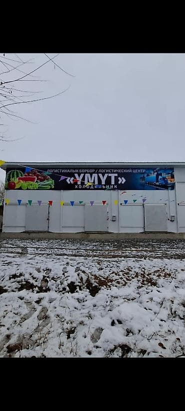 Недвижимость: Сдается холодильное помещение в логистическом центре «Умут» — 1