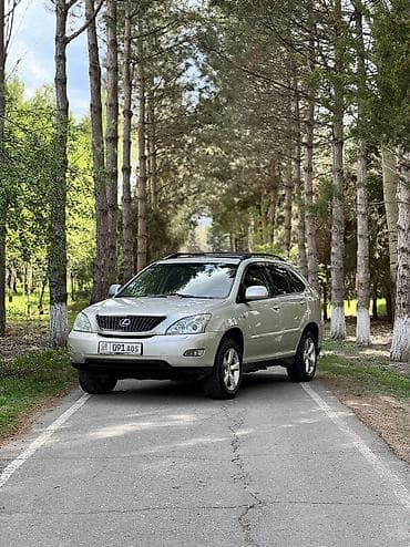 byd авто: Lexus RX: 2004 г., 3 л, Автомат, Бензин, Кроссовер — 3