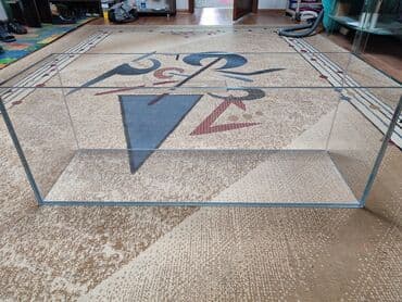 аквариумная рыбка: Аквариумы на заказ из супер прозрачного стекла оптивайт — 3