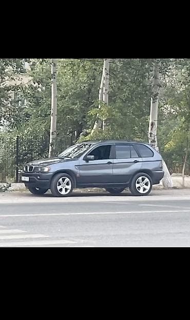 BMW: BMW X5: 2003 г., 3 л, Автомат, Бензин, Кроссовер — 2