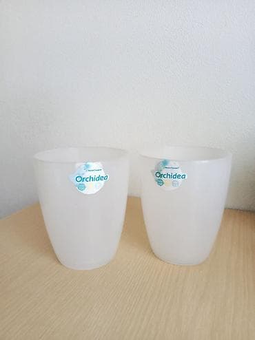 орхидея фото в горшке цена: Кашпо для орхидеи пластиковые, прозрачные. Обеспечивают доступ света к — 3