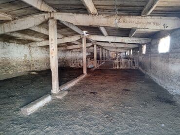 дом на иссык куле: 15 соток, Красная книга, Договор купли-продажи, Тех паспорт — 10