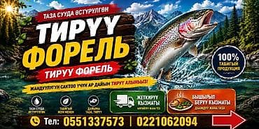 Свежая радужная форель (охлаждённая, не замороженная) - Вид: радужная at lalafo.kg Свежая радужная форель (охлаждённая, не замороженная) - Вид: радужная