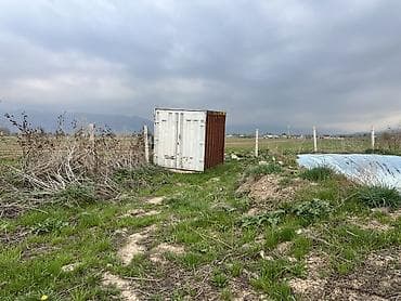 земля сельского хозяйства: 77 соток, Для строительства — 8