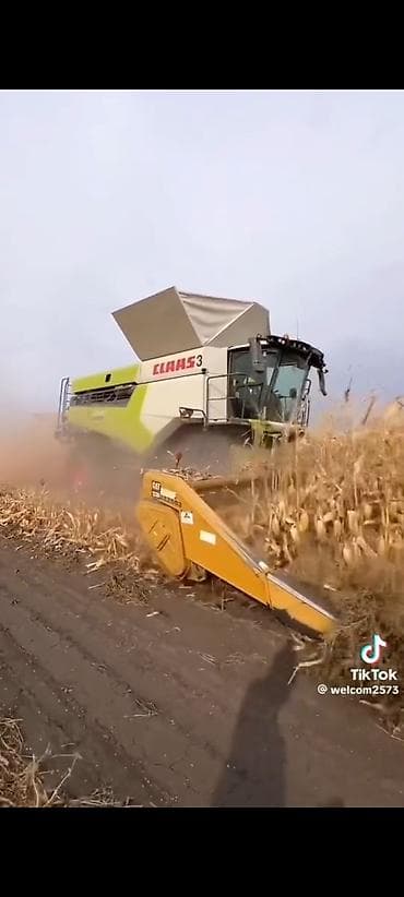 муравей китайский: Нужны комбайнерытрактористытрактора новые китайцынужны опытные — 1