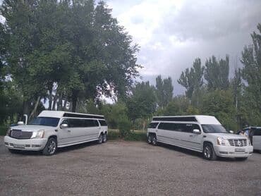 аппаратура 1 9: Скидки на лимузин до 30% до 31.12.2025 на свободные лимузины. выгодное — 6