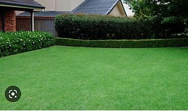 от сорняков: Профессиональное устройство и обслуживание газонов Предлагаем полный — 1