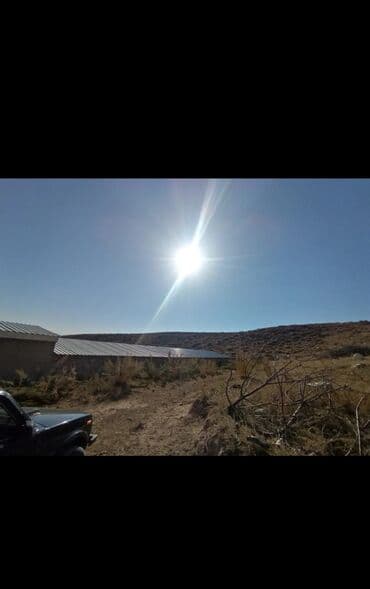 меняю на скот: Продается действующий бизнес кашар вместе с садом для разведения скота — 5