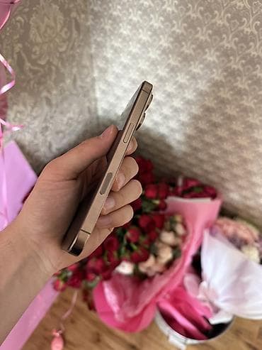 tehno pova: IPhone 16 Pro, Б/у, 256 ГБ, Desert Titanium, Кабель, 89 % — 4