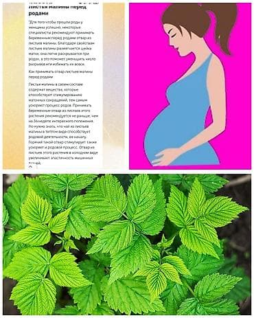 корни солодки: Листья малины — свежие ароматные, из экологичных кустов. Подходят для — 1