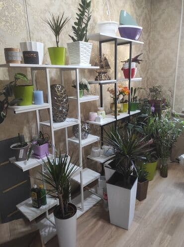 полка для цветок: Цветочные полки, Стеллаж на выбор
Размер и цвета разные — 6