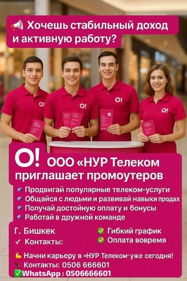 фрунзе вакансии бишкек: Требуется Промоутер, Без опыта, Полный рабочий день, График: Шестидневка, Карьерный рост — 1