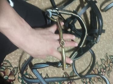 коой: Комлепкт уздечки для лошади с поводьями - Материал: прочная кожа с — 2