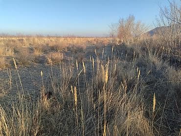 аренда с выкупам: 20 соток, Для сельского хозяйства, Красная книга, Договор купли-продажи, Генеральная доверенность — 8