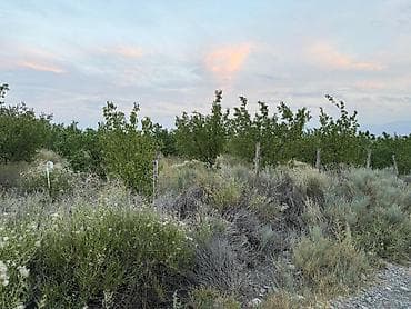 royal center: 250 соток, Для сельского хозяйства — 2