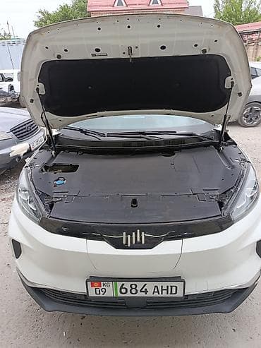 машны: Dongfeng : 2021 г., Автомат, Электромобиль, Кроссовер — 7