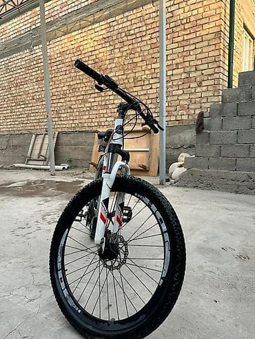 vin code: Горный велосипед LEGENDA MTB - Рама: алюминиевая, хардтейл, геометрия — 5