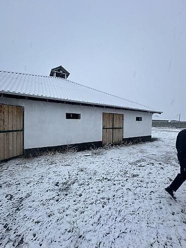 Кошара, 50 соток, Действующий, Частично с оборудованием, Электричество, Канализация, Отопление