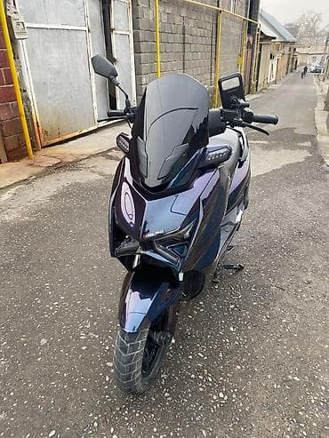 скутер мото: Скутер DongFang (брендировка на кузове) в спортивном стиле. Основные — 1