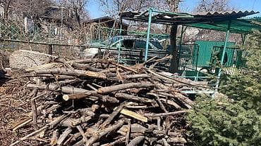 Дрова Орех, Самовывоз