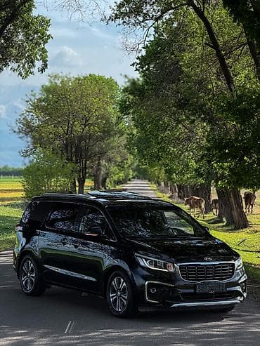 1 uz fe: Kia Carnival: 2018 г., 2.2 л, Автомат, Дизель — 2