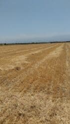 дом на колесах трейлер: За гектар 4000(общая гектар 7:32
или меняю на авто с доплатой мне — 1