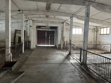 дом совхоз фрунзе: Сдаю Конюшню в перспективном районе для содержания лошадей и быков — 17