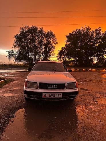124 2 2: Audi 100: 1993 г., 2 л, Механика, Бензин, Седан — 1