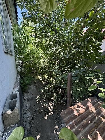 Дома: Продаётся частный дом с участком. - В продаже дом 7 комнат без — 3