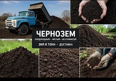 комар кара кече: Бесплатная доставка, Зил — 1