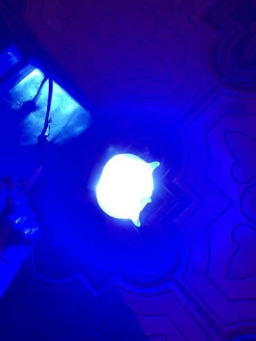 противотуманные фары бишкек: Сова пара 600 сом горит белый желтый красный синий — 6