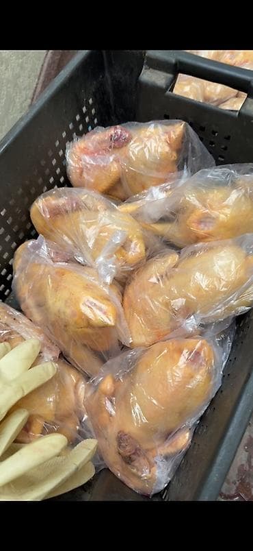 гусинные яйца: Домашние тушки кур, упакованные поштучно в прозрачные пакеты — 2