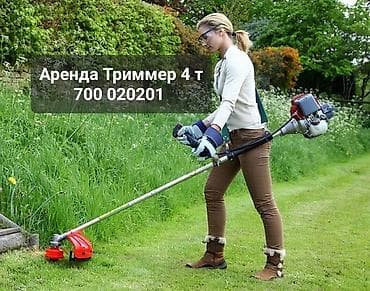 Сдам в аренду