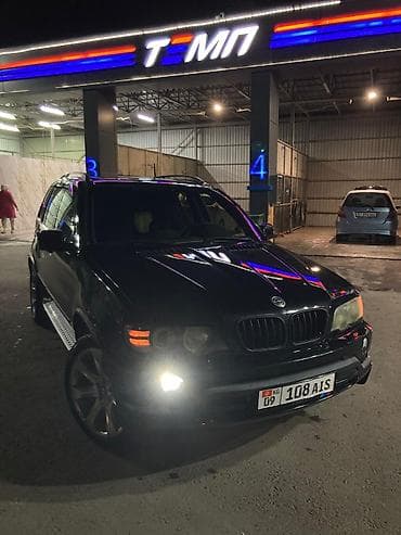 BMW X5: 2003 г., 4.6 л, Автомат, Бензин, Кроссовер — 2