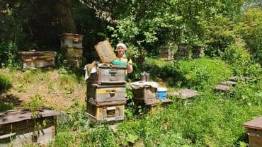 конфеты мерси бишкек цена: Горный чистый мед с уникальнымивкусом и лечебными свойствами .Имеется — 6