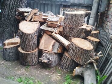 Дрова Самовывоз