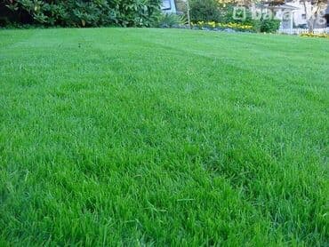 полив полей: Автополив Полив газона Поливные системы Устанавливаем — 4