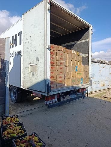 карго цена за кг турция: Заказать Мерседес Гигант, Другие опции — 6