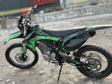 Эндуро 300 куб. см, Бензин, Взрослый