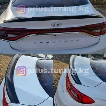 Задний спойлер Hyundai Новый