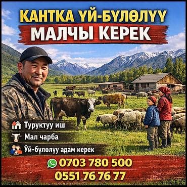 СТО, автобизнес: Требуется сотрудник, Полный рабочий день — 1