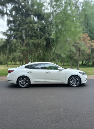 боковое зеркало рекс: Kia K7: 2019 г., 2.4 л, Автомат, Бензин, Седан — 1