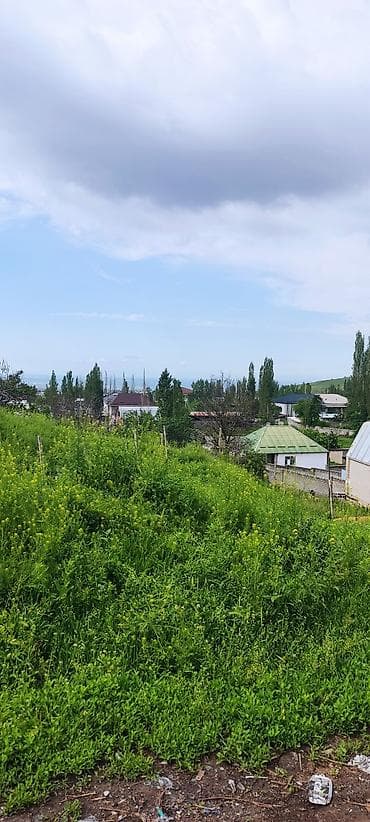 Жер тилкелери: 12 соток, Курулуш, Кызыл китеп — 1