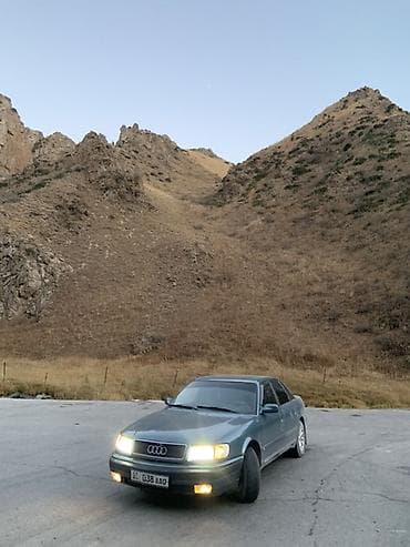 перья: Audi 100: 1994 г., Седан — 3