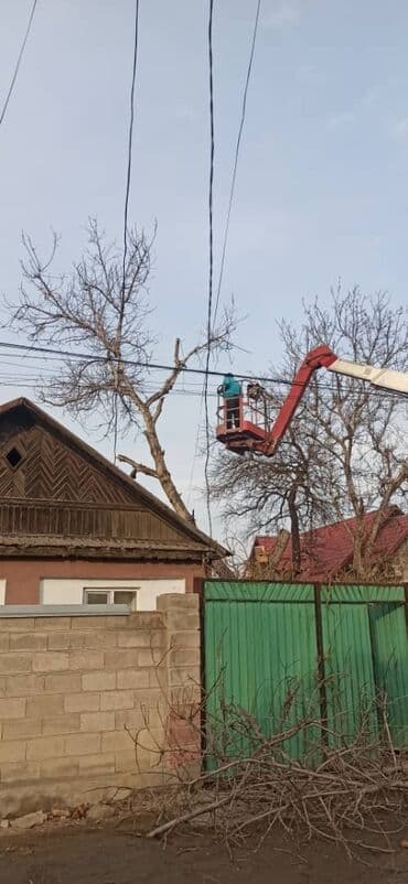 разнорабочий керек: Спил самых сложных опасных деревьев пилим дрова. Можно с гвоздями — 6